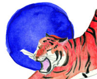 profil tigre.jpg