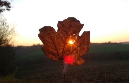 Stage d'Automne en Dordogne : se préparer à l'Hiver avec le Kundalini Yoga